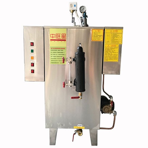 高温电蒸汽发生器