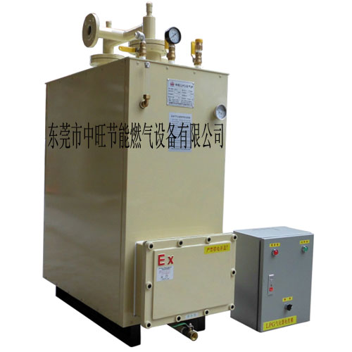300KG电热式气化器