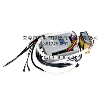 燃气蒸气发生器脉冲点火器
