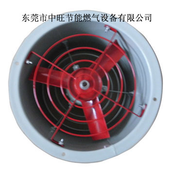 300-11型轴流防爆风机