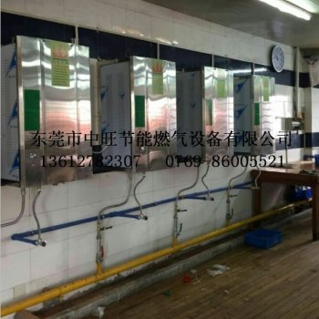 小型节能常压蒸汽锅炉