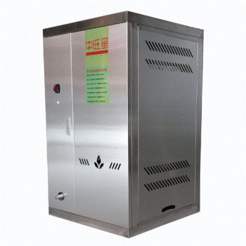 山东燃气节能蒸汽机