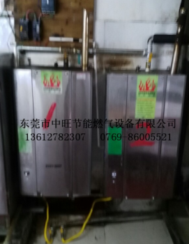 中旺酒店挂式蒸汽发生器