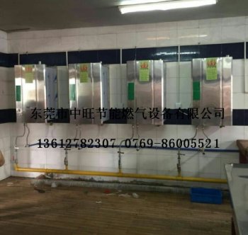 小型节能常压蒸汽锅炉