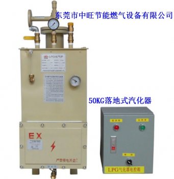 中旺星LPG防爆汽化器
