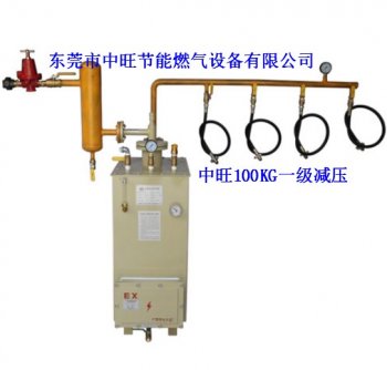 中旺液化石油气化器