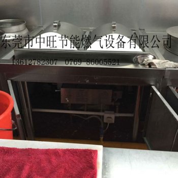 燃气卧式蒸汽机蒸广式肠
