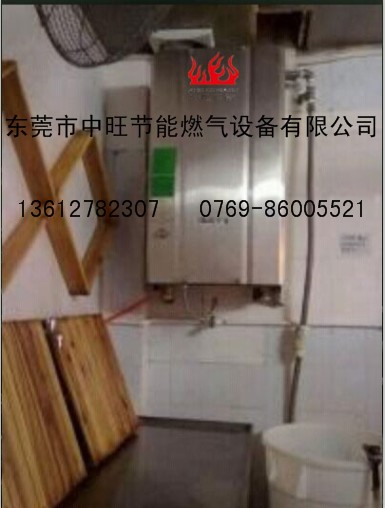 燃气蒸汽发生器