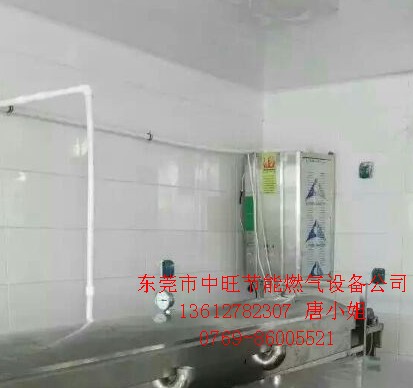 燃气蒸汽发生器