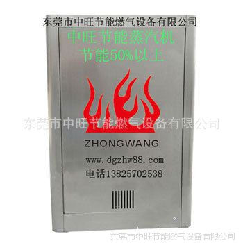 燃气蒸汽发生器