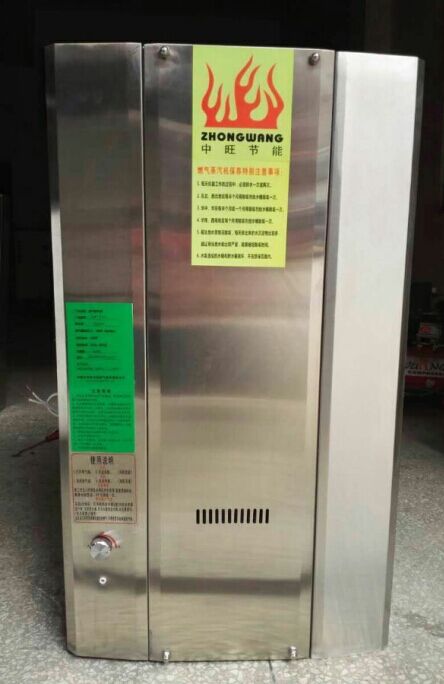 燃气蒸汽发生器