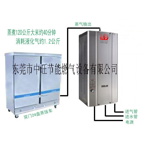 燃气蒸汽发生器