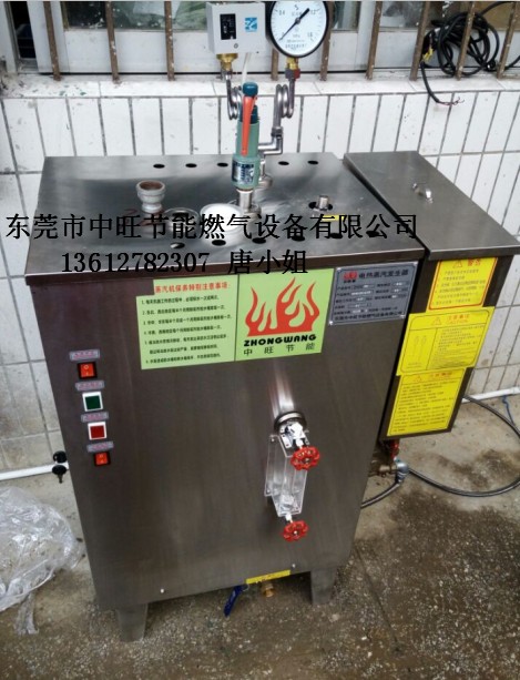 燃气蒸汽发生器