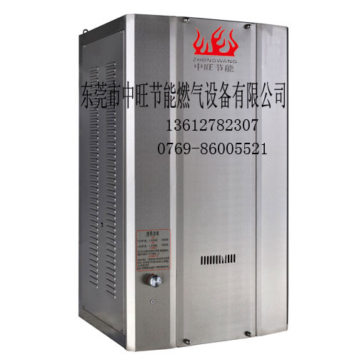 燃气蒸汽发生器