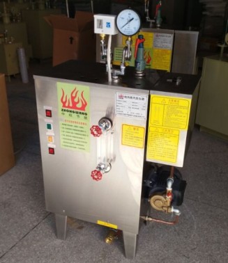 电蒸汽发生器