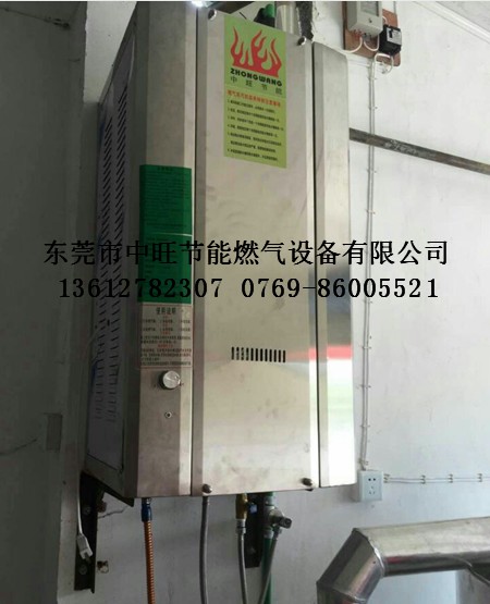 燃气电蒸汽发生器