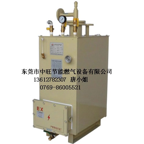 电加热蒸汽锅炉